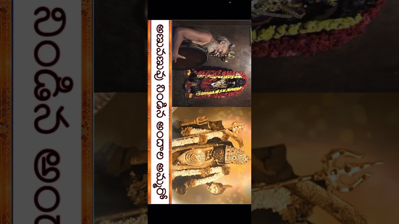 Mesmerizing songs by Sadhguru Amazingyogi Laddu Swamy 