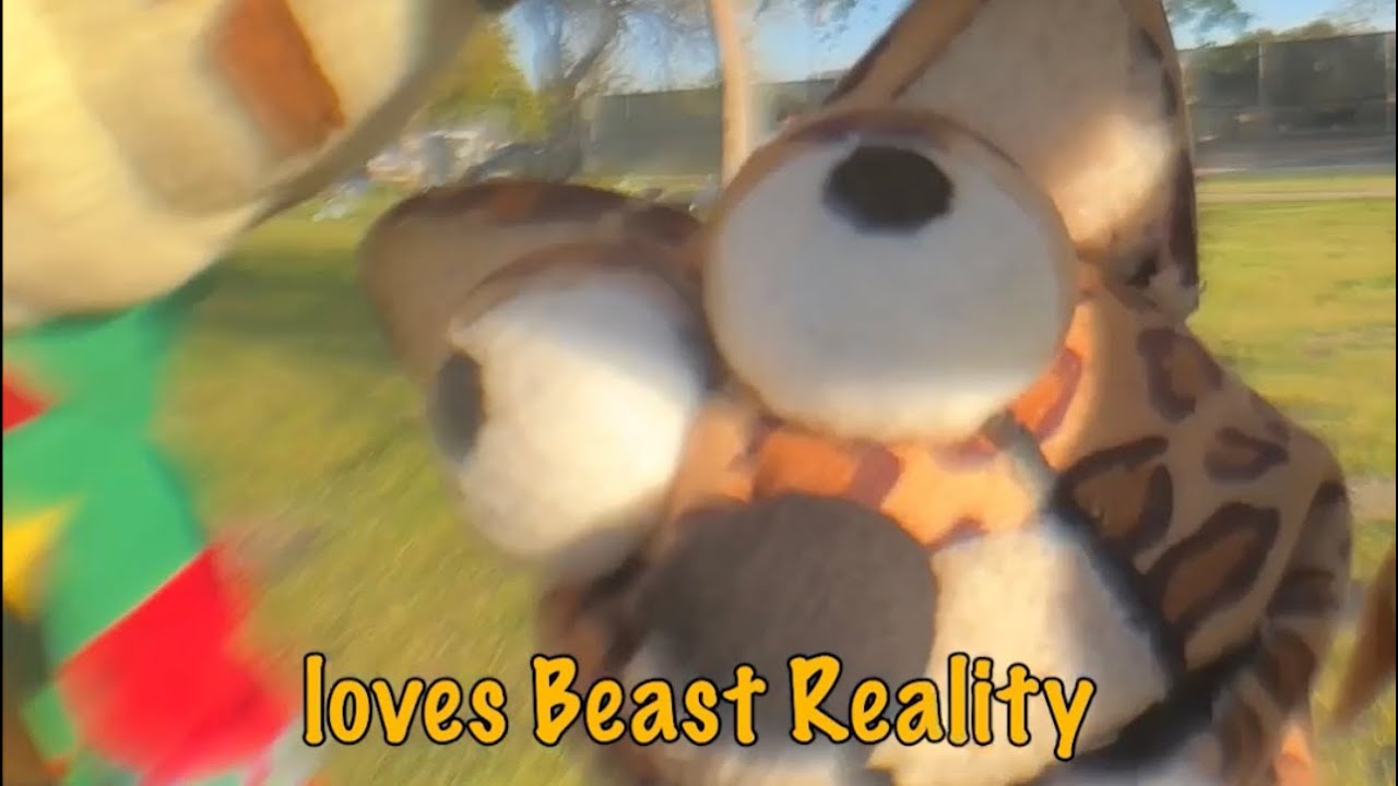 Can’t believe Cheetah kept Beast Reality a secret!