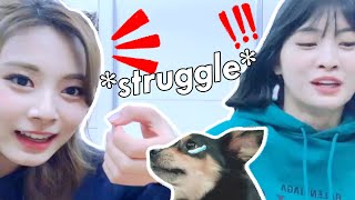 TWICE *struggle* to learn chinese from tzuyu ft. their dogs
