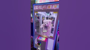 Giant Bear Hangs by 1 Thread in Arcade Game! #shorts