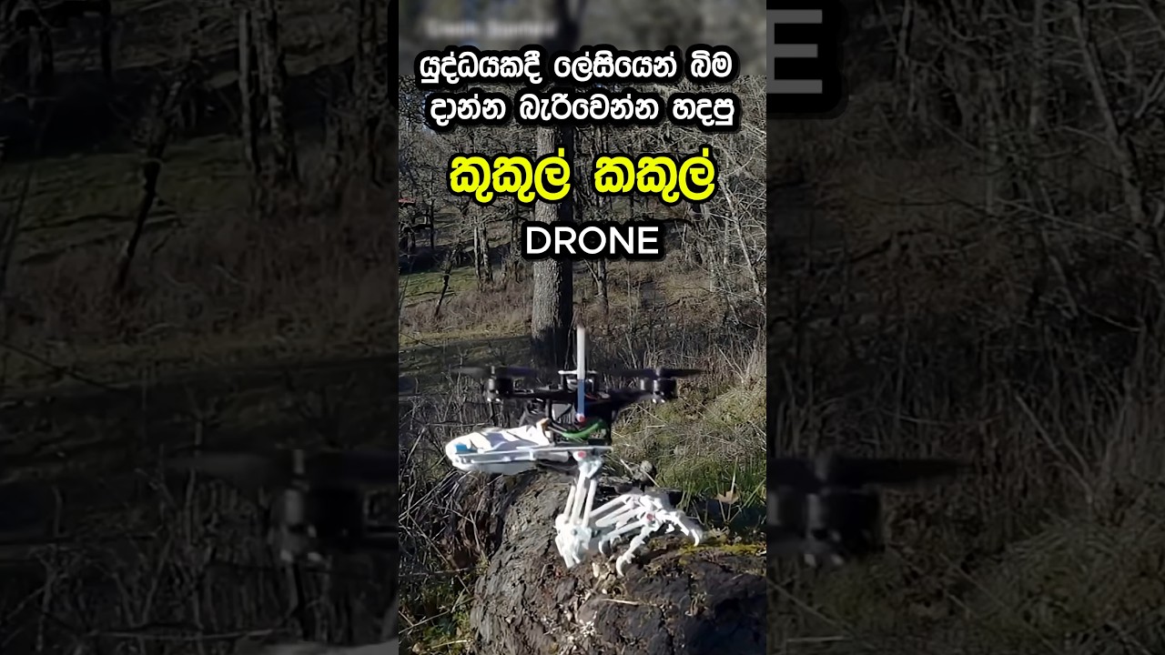 මේ DRONE නම් බිම දාන  එක ලේව්සි නෑ 🎮👾| Chicken Legs Drone |🎮👾 #sinhala   #shorts#virul