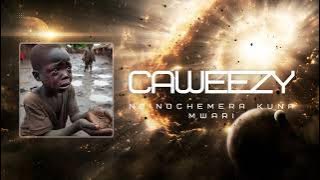 NDINOCHEMERA KUNA MWARI