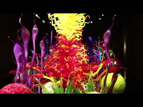 Videó: Dale Chihuly nettó értéke: Wiki, Házas, Család, Esküvő, Fizetés, Testvérek