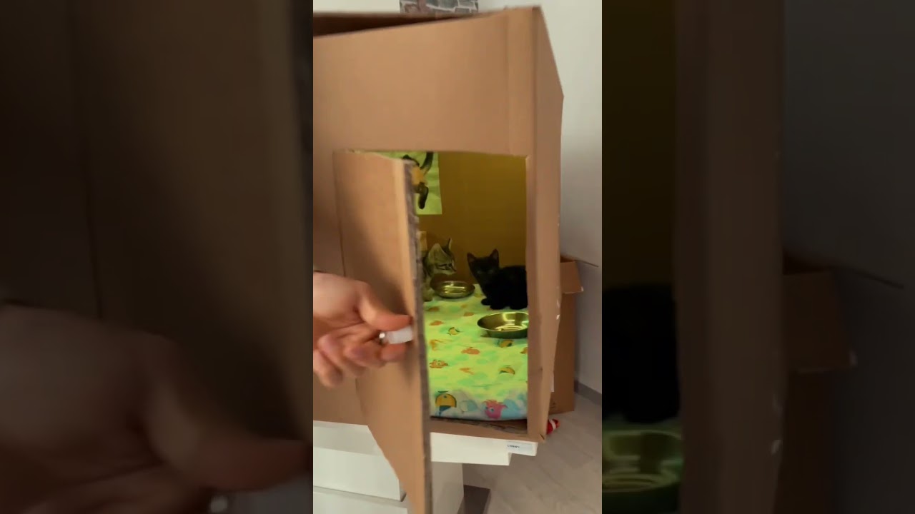 ARABIAN NIGHT CLUB 🎉  