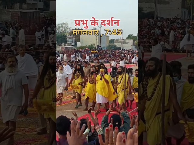 मंगलवार सुबह प्रेमानंद जी महाराज के दर्शन #sanatanhindu #प्रेमानंदजीमहाराज #radheradhe