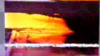 Shell 1988 CV