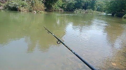 Đi Câu Cá Suối | Lure Cá Mương Suối Bằng Mồi Bọ Giả Gặp Toàn Hàng Khủng