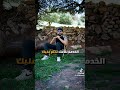 القصة الكاملة قصص رعب حقيقية