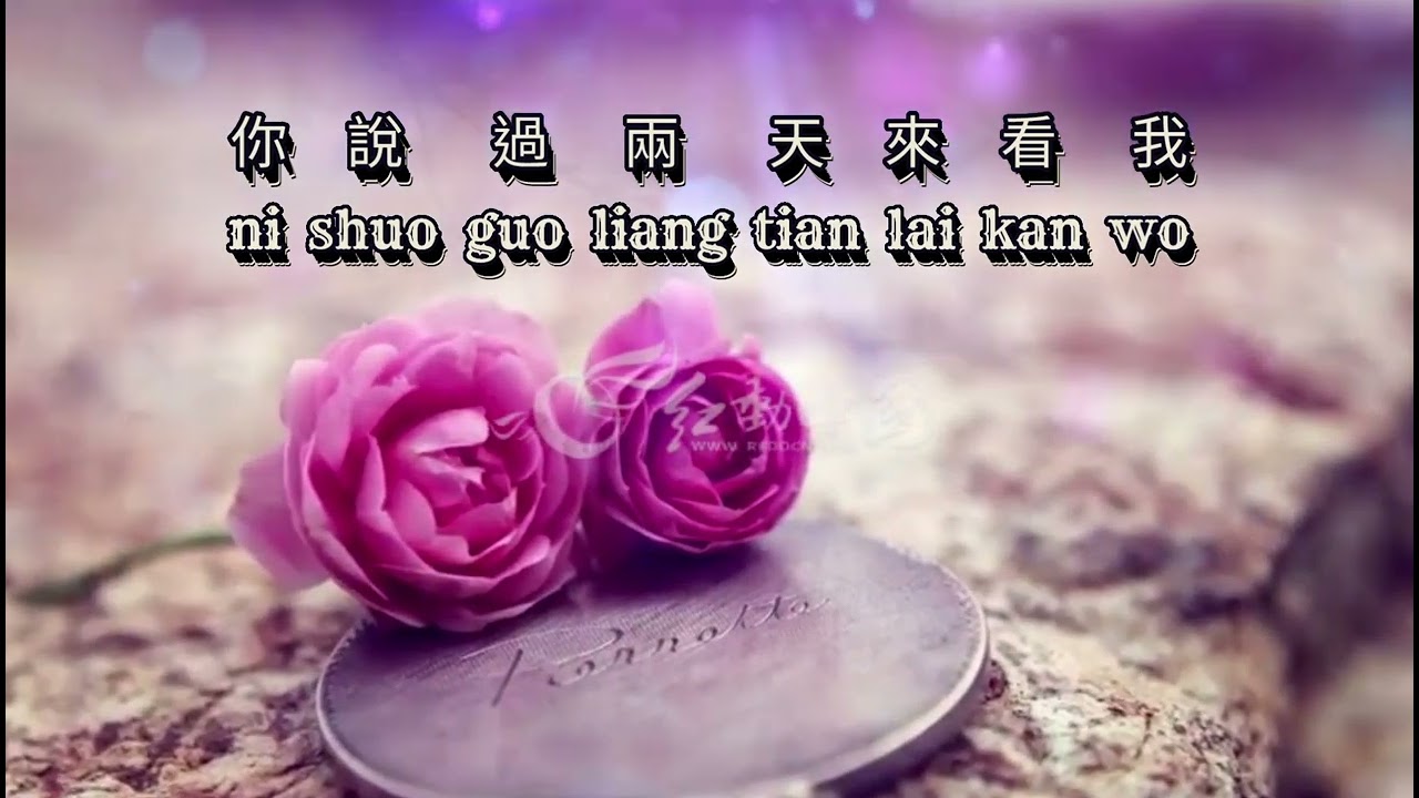 Ni zen me shuo + Xiao cheng gu shi Remix Female nada sedang  你怎麼說+小城故事 Dj 女版伴奏中音