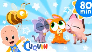 little cat is not a bee and more nursery rhymes by cleo and cuquin children songs