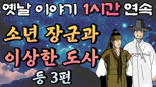 소년 장군과 이상한 도사, 재상의 딸도 거절한 남자, 내 딸과 결혼해줘 5,🌛중간 광고 없는 1시간 연속 옛날이야기 /잠자리동화,꿀잠동화,오디오북