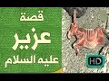 هل تعلم | قصة العزير عليه السلام شرح مفصل | قصص رمضان 2017