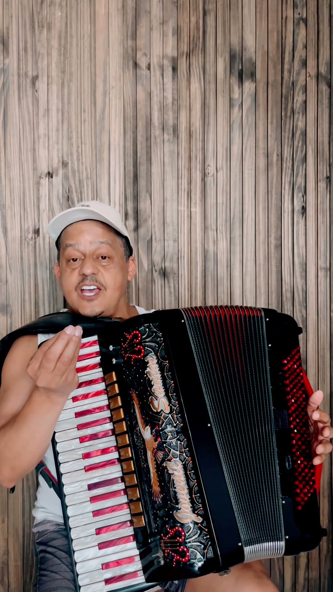 https://rifei.com.br/acordeon-melody-president