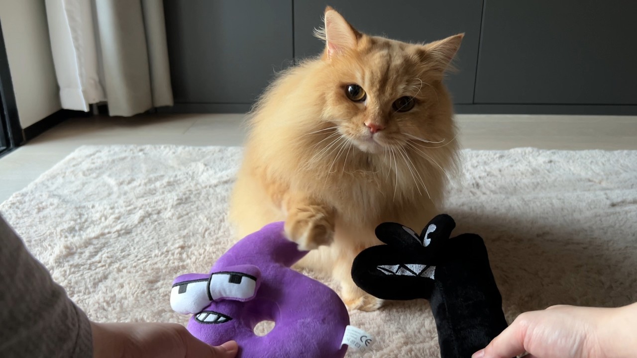 Trick & Treat with My Cat - Day 28