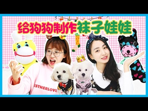 给小狗製作襪子娃娃玩具！小狗會不會喜歡呢？小伶玩具 | Xiaoling toys