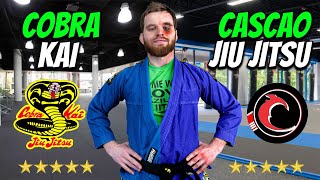 I Survived The Highest Rated Jiu Jitsu Gyms In Las Vegas