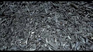 Заготовка древесного угля по-итальянски