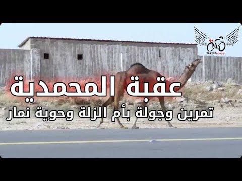 تمرين بعقبة المحمدية بخط أم الزله وحوية نمار