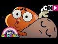 Gumball | Darwin and Penny In Gumball's Dream | Cartoon Network