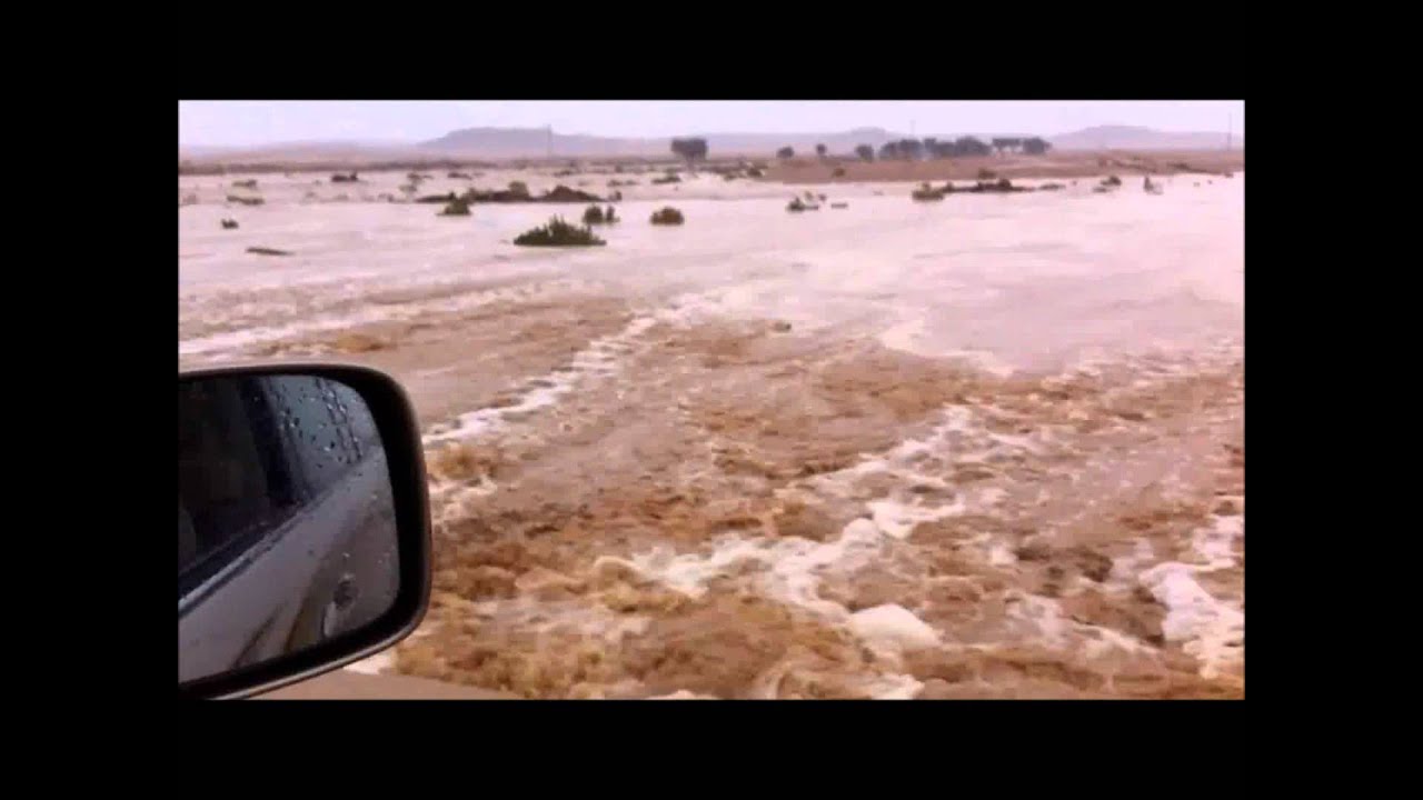 شيلة سرى البارق اللي له زمانين ماسرى اداء أحمد القرعاوي