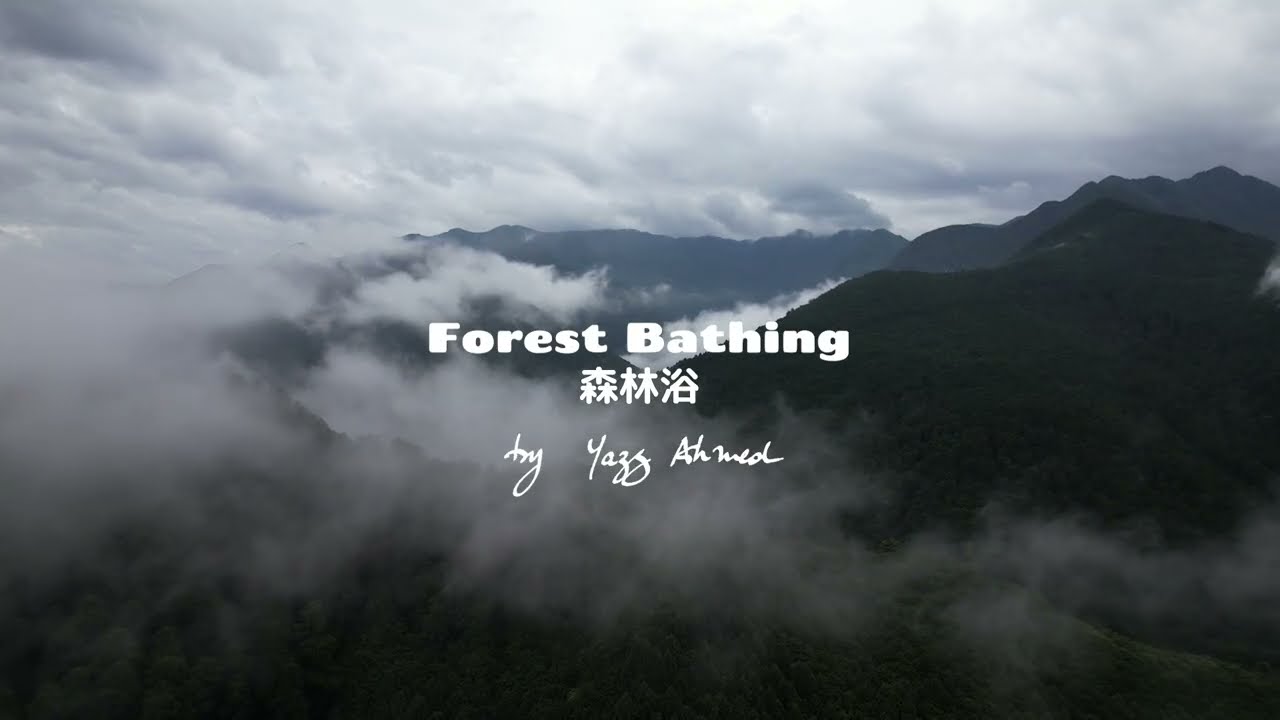 Yazz Ahmed - Forest Bathing 森林浴 (Official Visualiser)