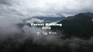Yazz Ahmed - Forest Bathing 森林浴 (Official Visualiser)