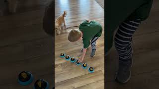 Teach Your Dog To Talk #dogbuttons