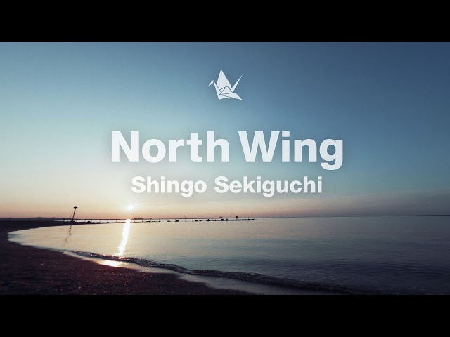 North Wing関口シンゴ