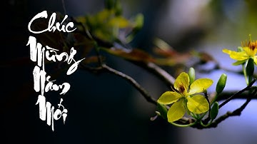 CHÚC MỪNG NĂM MỚI - NHÂM DẦN 2022