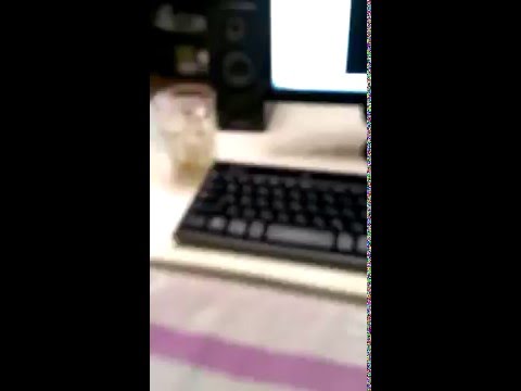 職場のPCのキー音とエンター音ルパンのに変えたら滅茶苦茶怒られた