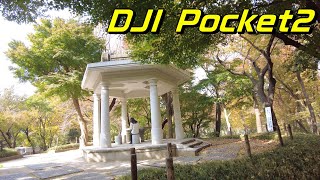 DJI Pocket２＋Creator Combo Wide-angle lens Walking around Shinjuku central park, Tokyo