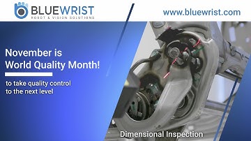 Bluewrist 100% Inline 3D Vision Quality Control