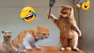 Funniest Animals 😄 New Funny Cats and Dogs Videos 2024 😹🐶 #413