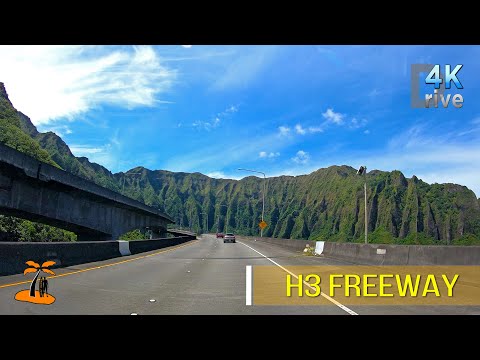 Vídeo: Hi ha interestatals a Hawaii?