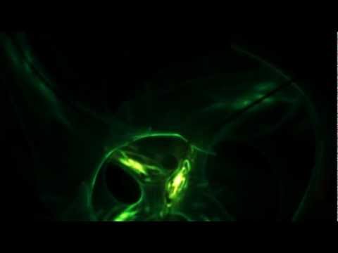 Cezary Gapik — Cezary Gapik - #0466
