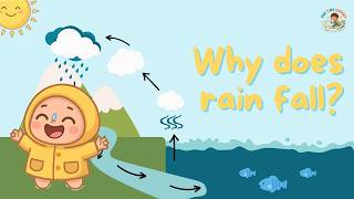 Rain for Kids 🌧️ | Why Does Rain Fall? | Mun Explains | The Tiny Expert