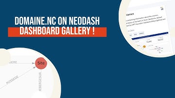 🚀 DOMAINE.nc on Neo4J Auradb - NeoDash Dashboard Gallery 🎨