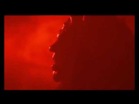 The 9th Circle David Leone 2008