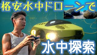 格安水中ドローンで水質日本一の支笏湖を水中探索！謎の群れに遭遇！【CHASING DORY 水中ドローン 水中撮影】