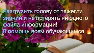 видео: Техника самопомощи для отдыха при умственном утомлении и эффективного сохранения информации картинка: Техника самопомощи для отдыха при умственном утомлении и эффективного сохранения информации