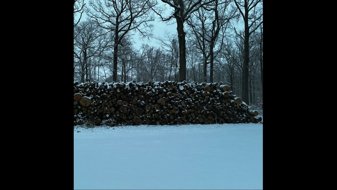 (FREE) Bushi x Untiljapan type beat | Silk