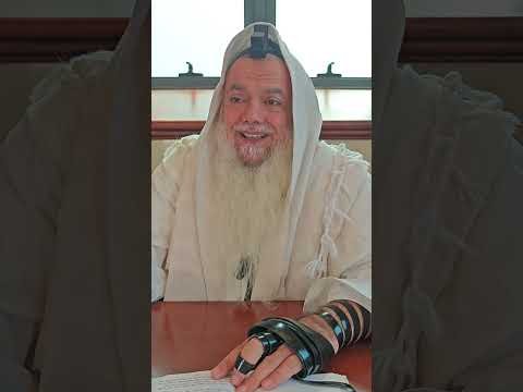 שער הביטחון | סבב שני - פרק 115