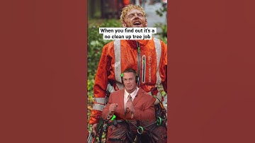 The best and rarest kinda tree work days. #arborist #treework #arbortec #chainsaw