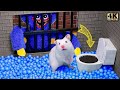 Hamsterious escapethe poppy playtime maze  hamster vs huggy wuggy