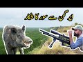 Wild boar hunting with airgun in pakistan  ep 1