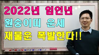명리학으로 본 2022년 임인년의 원숭이띠 운세(44년, 56년, 68년, 80년, 92년, 04년생)#명리…