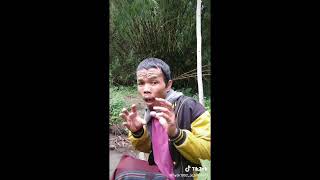 Kumpulan tiktok juragan tani 2020/paling gokil