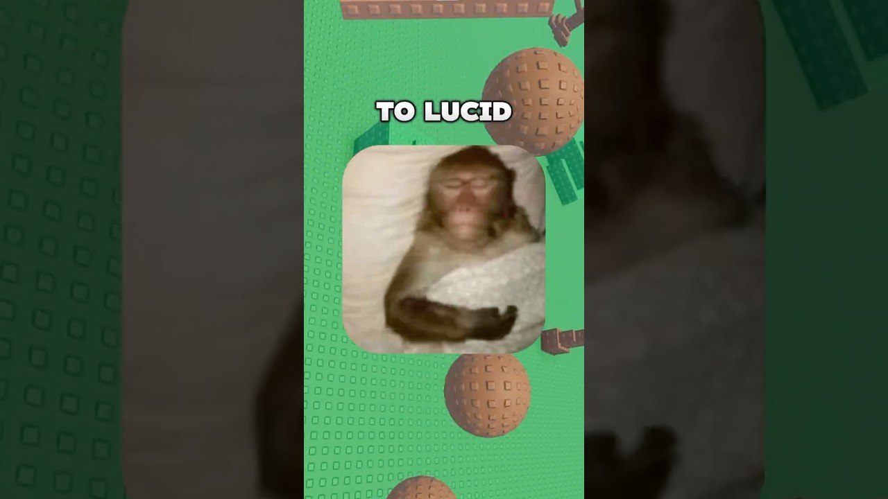 How to Lucid Dream.... 😴