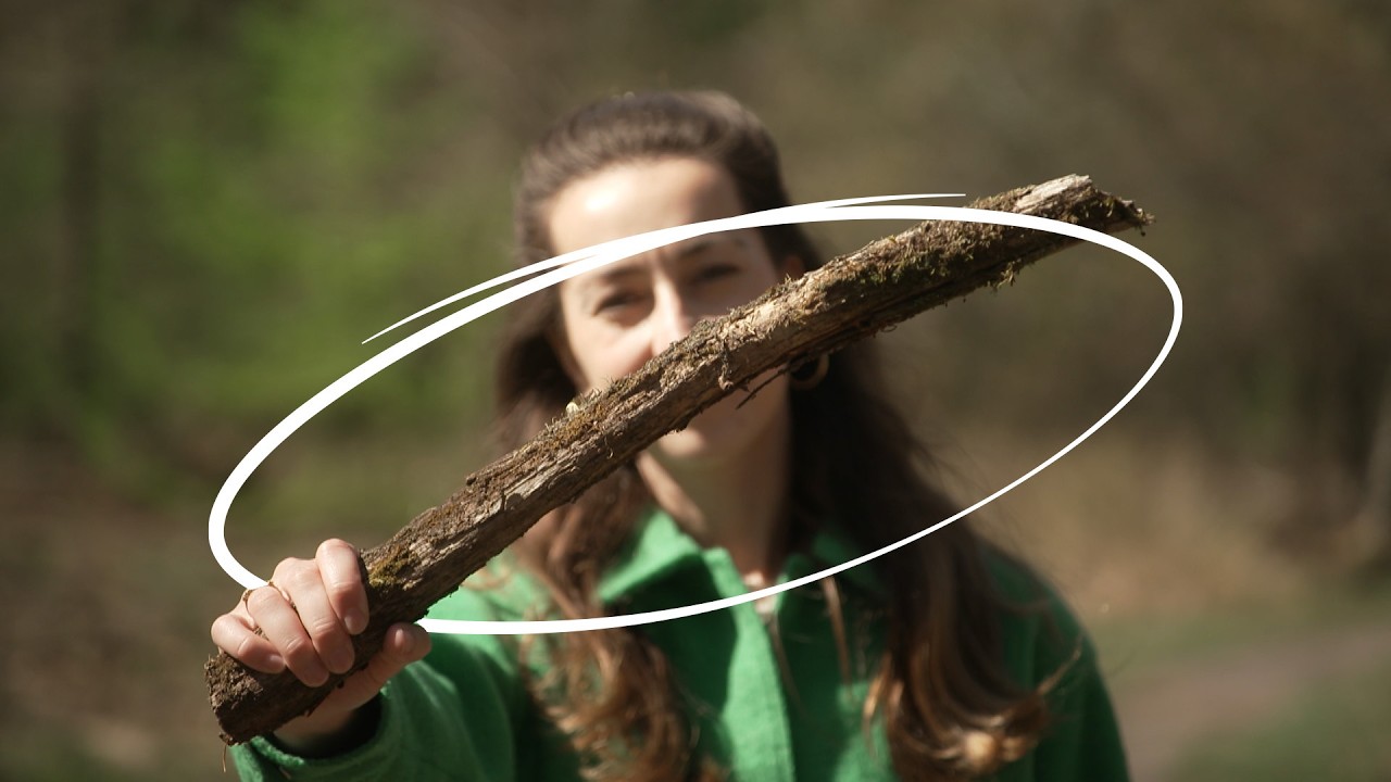 Wat je vooral niet moet doen als je een wolf tegenkomt