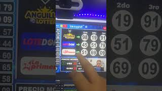 Loteria la primera lotedom y Anguila Resultados HOY #sorteo #shorts